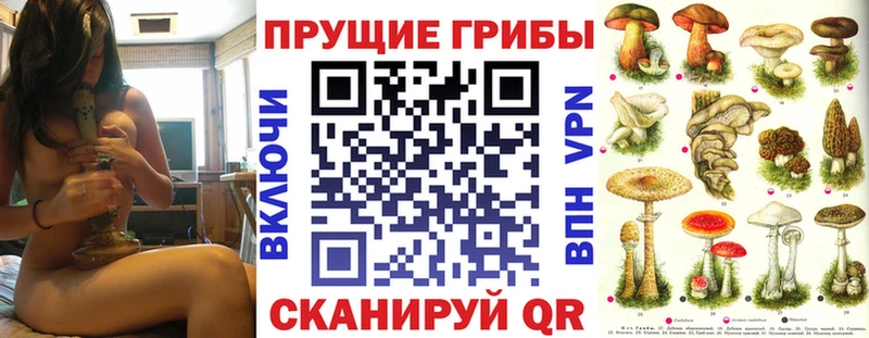 наркошоп  гидра tor  Галлюциногенные грибы прущие грибы  Дигора 